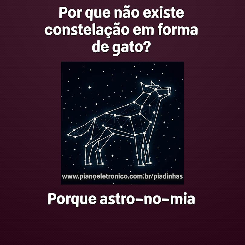 Por que não existe constelação em forma de gato?

Porque astro-no-mia